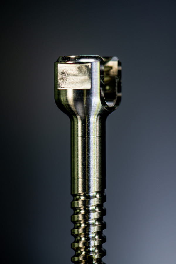 Screw (January 30, 2026)